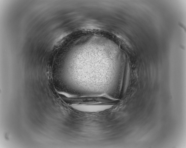 X0000096470870200802071854