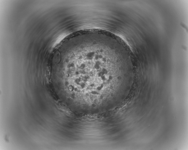 X0000096470871200802071854