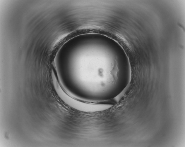 X0000096470872200802071854