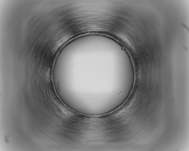 X0000096470873200802071854