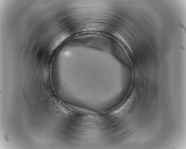 X0000096470874200802071854