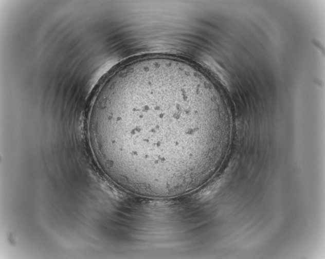 X0000096470875200802071854