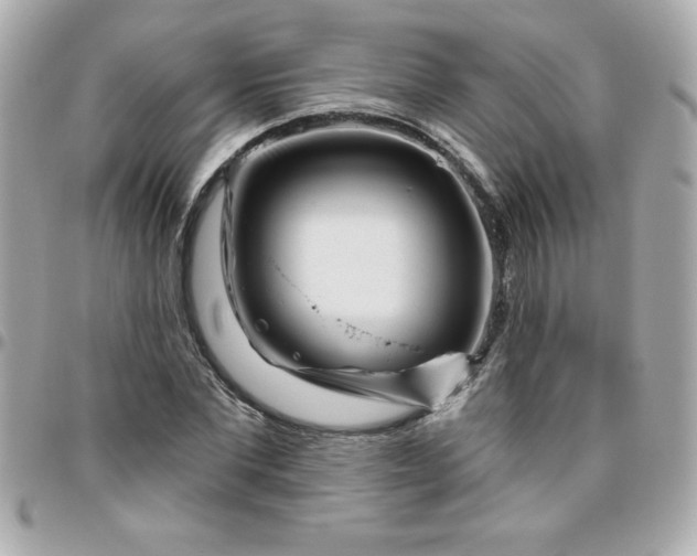 X0000096470877200802071854