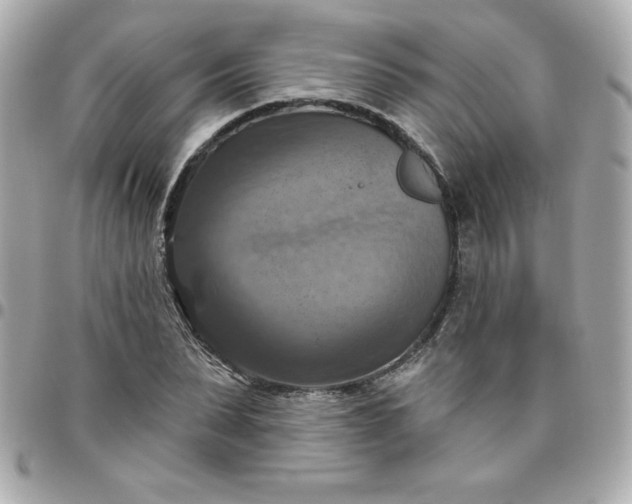 X0000096470879200802071854