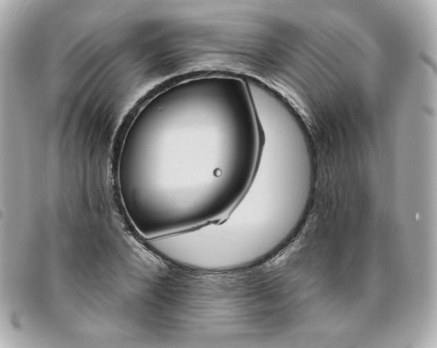 X0000096470880200802071854