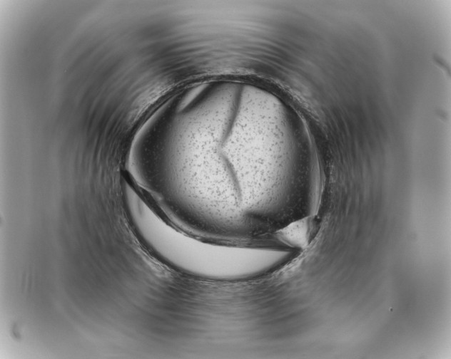 X0000096470881200802071854