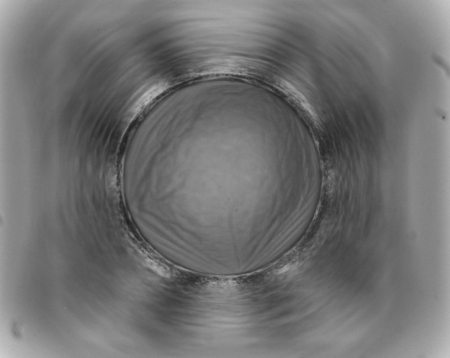 X0000096470882200802071854