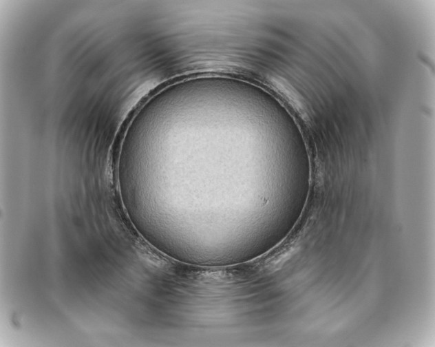 X0000096470883200802071854