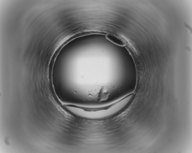 X0000096470884200802071854