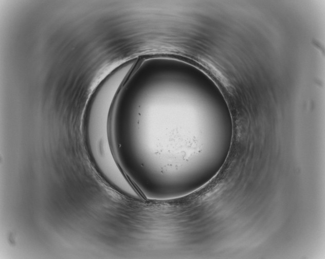 X0000096470885200802071854