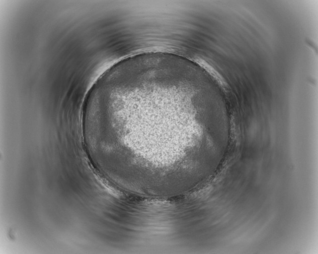 X0000096470886200802071854