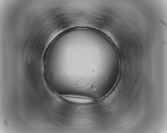 X0000096470887200802071854