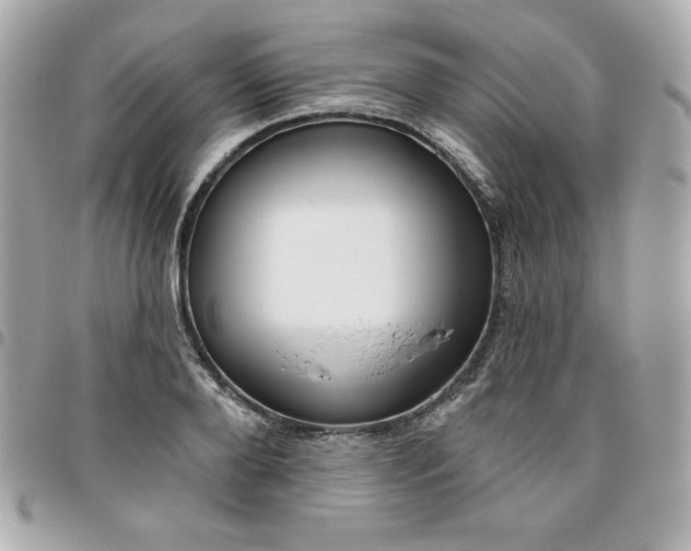 X0000096470888200802071854