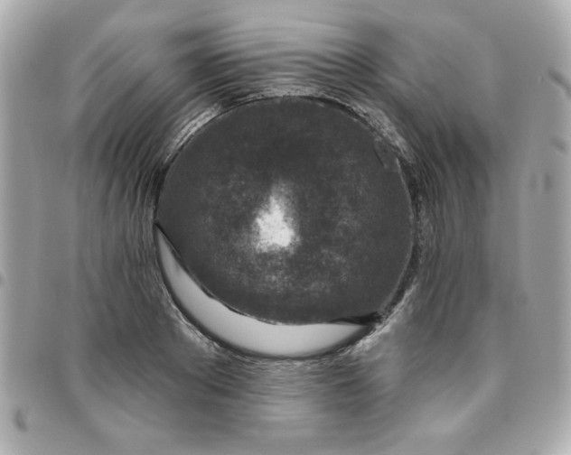 X0000096470889200802071854