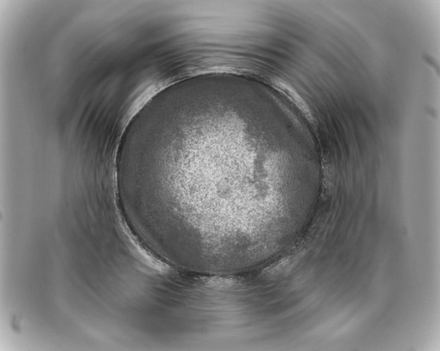 X0000096470890200802071854