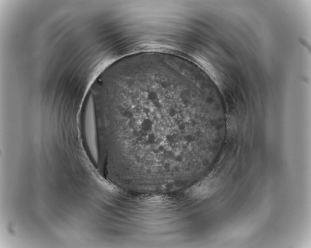 X0000096470891200802071854