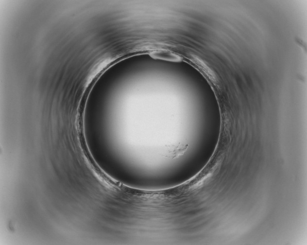 X0000096470893200802071854