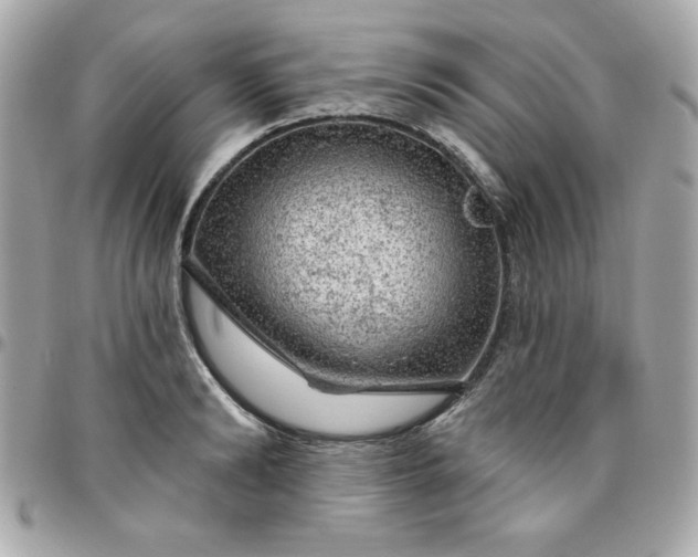 X0000096470894200802071854