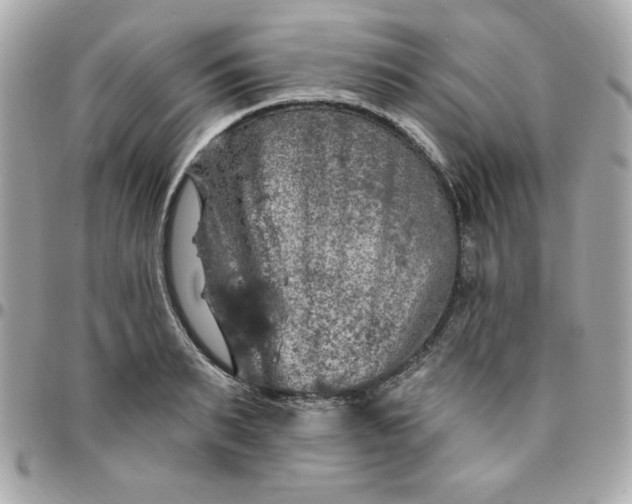 X0000096470895200802071854