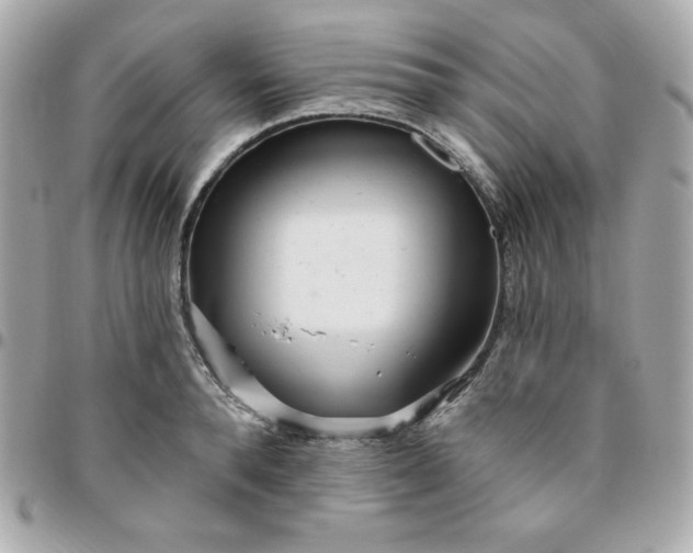 X0000096470896200802071854