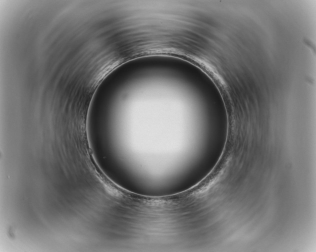 X0000096470897200802071854