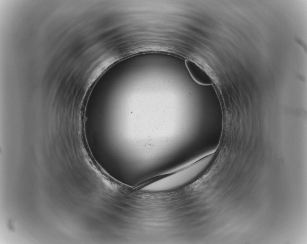 X0000096470898200802071854