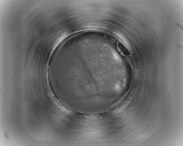 X0000096470899200802071854