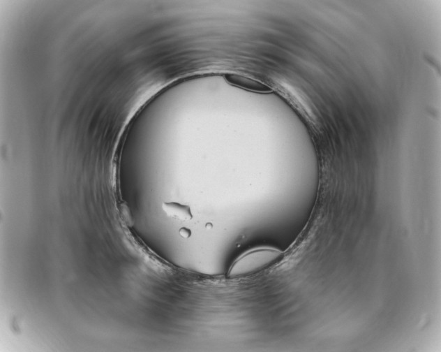 X0000096470900200802071854