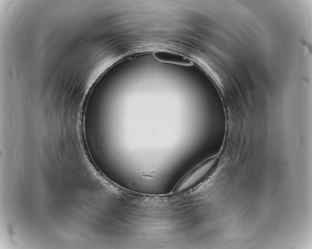 X0000096470901200802071854