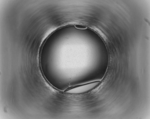 X0000096470902200802071854