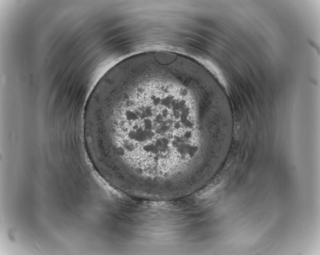 X0000096470903200802071854