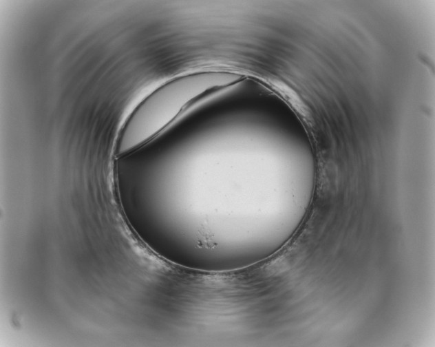 X0000096470904200802071854