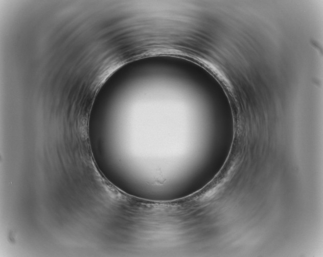 X0000096470905200802071854