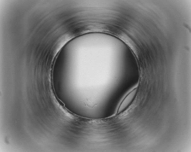 X0000096470906200802071854