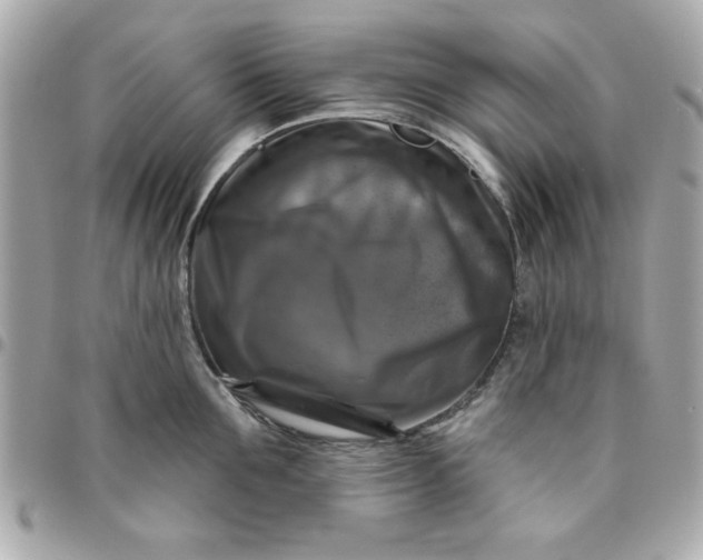 X0000096470907200802071854