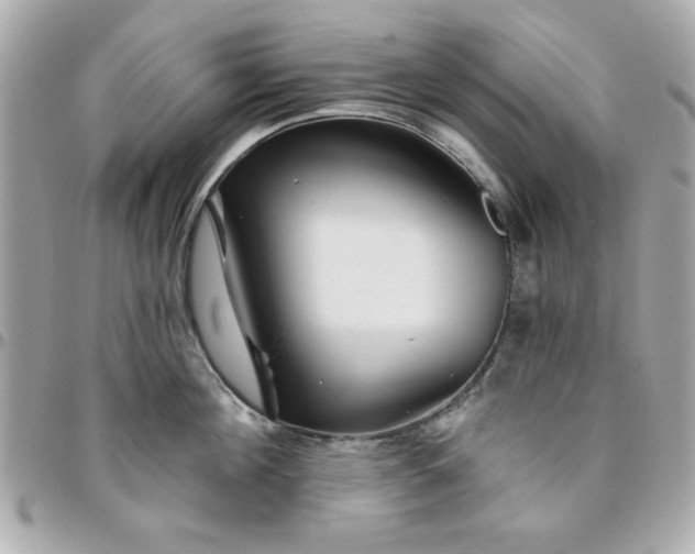 X0000096470908200802071854