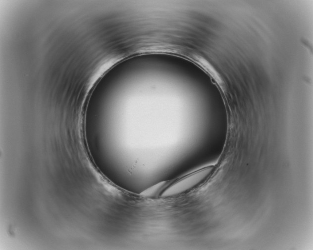 X0000096470909200802071854