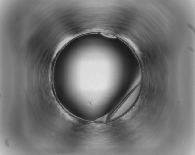 X0000096470910200802071854