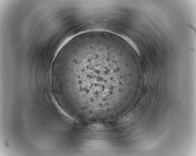 X0000096470911200802071854