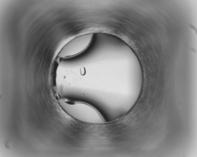 X0000096470912200802071854