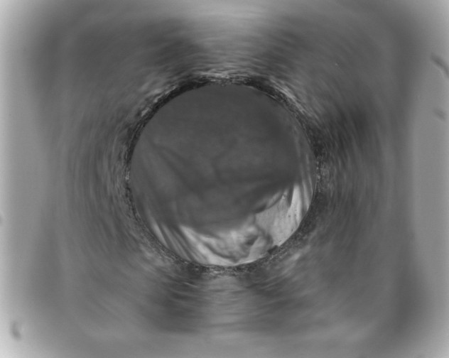 X0000096470913200802071853