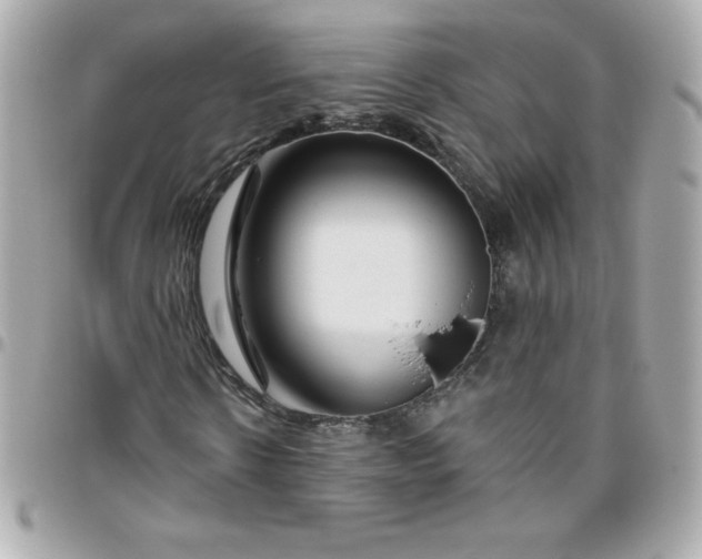 X0000096470914200802071853