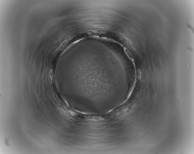 X0000096470915200802071853