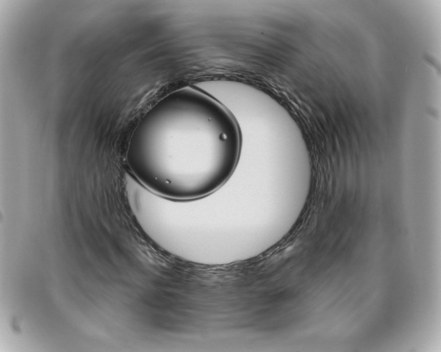 X0000096470916200802071853