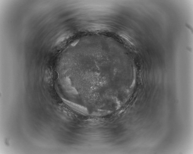 X0000096470917200802071853