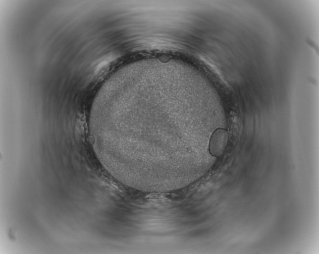 X0000096470918200802071853