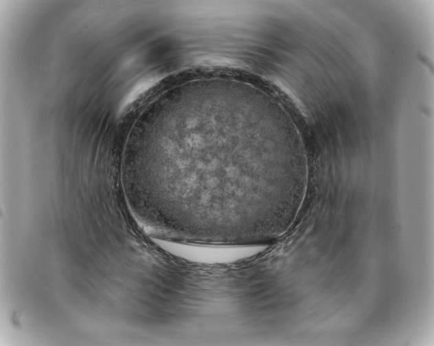 X0000096470919200802071853