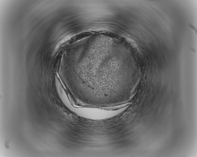 X0000096470920200802071853