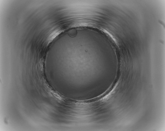 X0000096470921200802071853