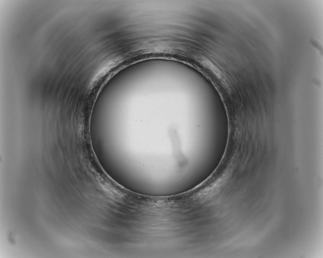 X0000096470922200802071853